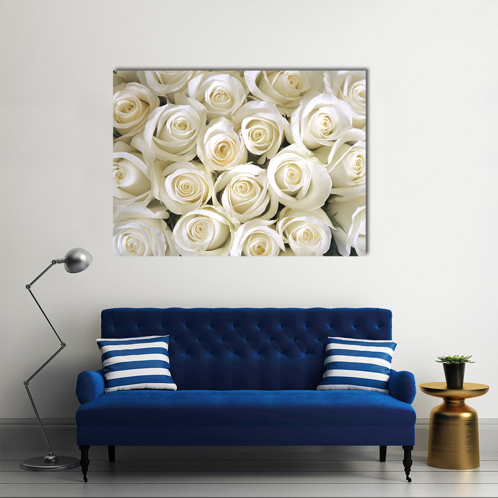 Silky White Roses Canvas Wall Art in white and beige, single panel hung on a wall