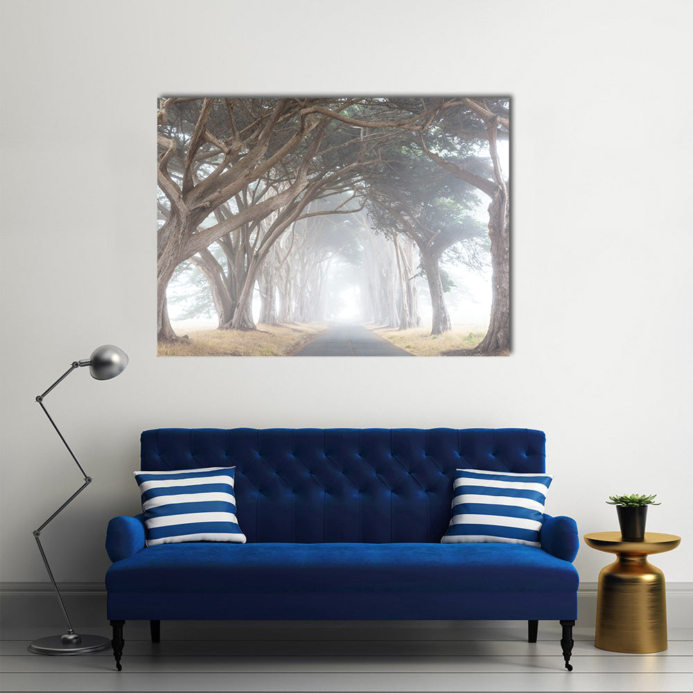 Misty Trees Alley In Foggy Weather Canvas Wall Art