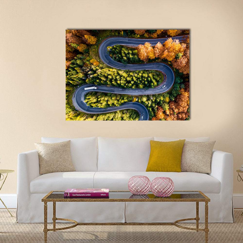 Winding Forest Road From Top Canvas Wall Art