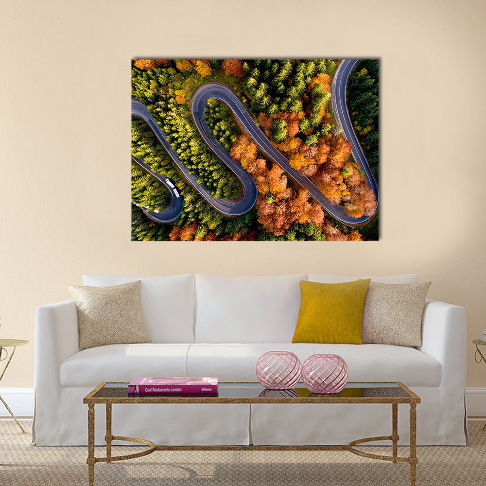 Serpentine Asphalt Road Canvas Wall Art
