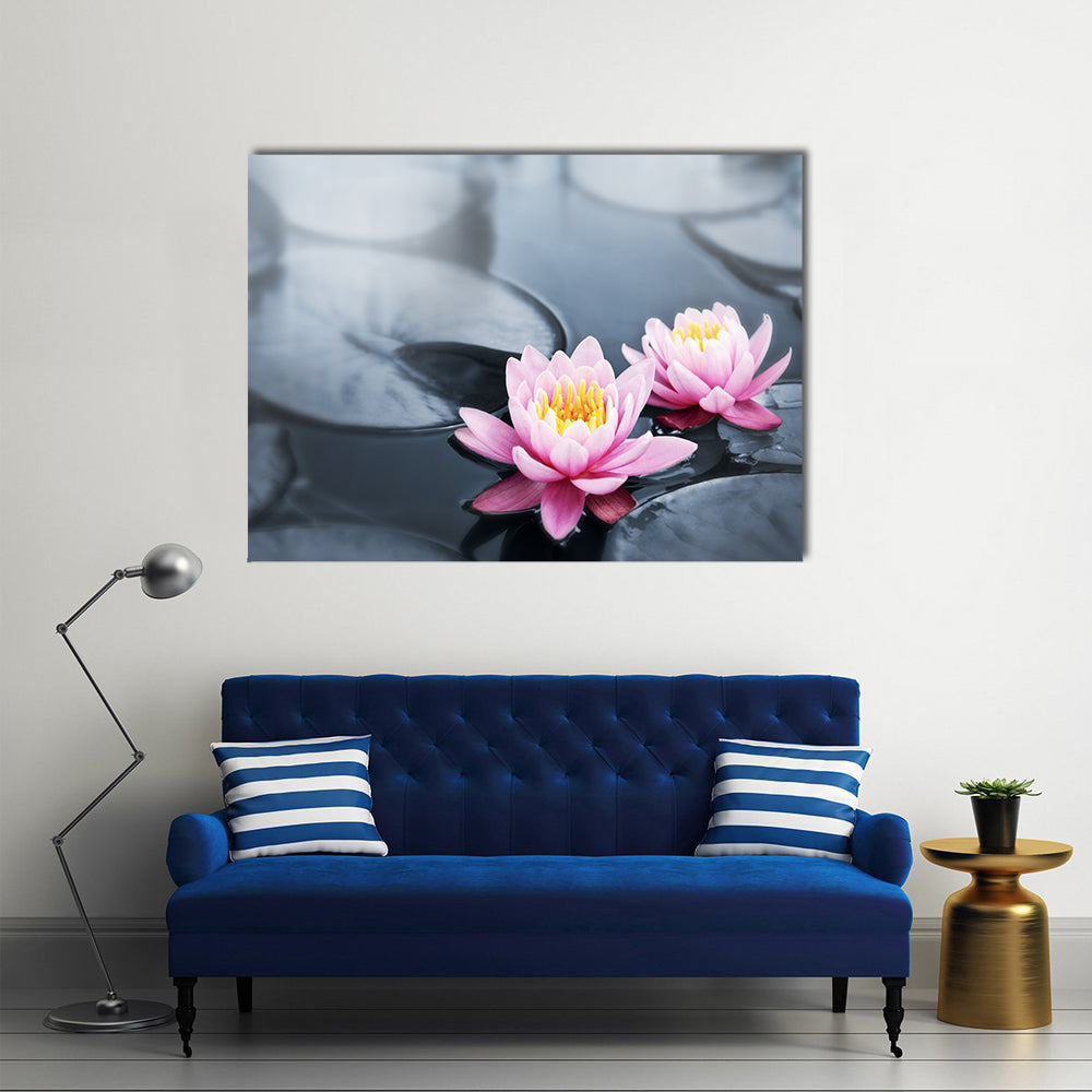 Pink Lotus Blossoms Canvas Wall Art in black, gray and pink, single panel hung on a wall