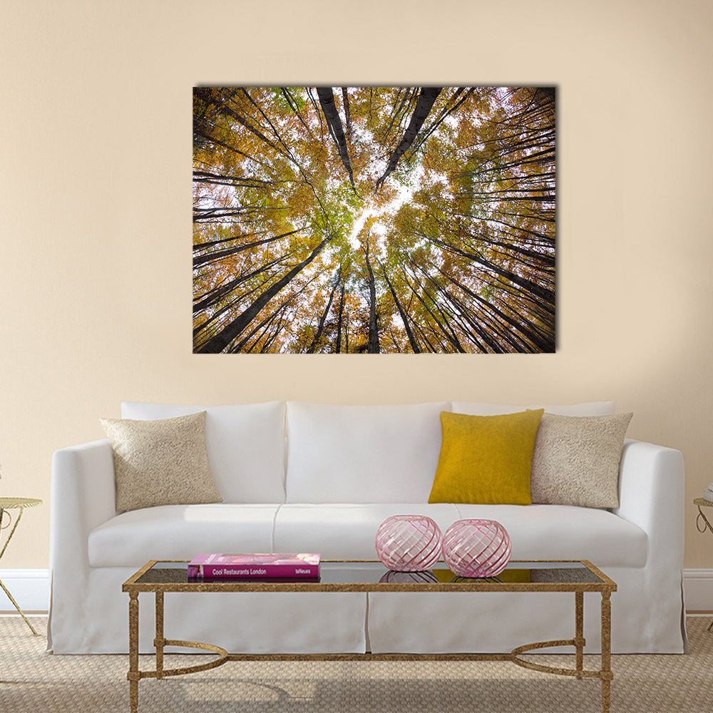 Autumn Forest Treetops Canvas Wall Art in brown, orange and yellow, single panel hung on a wall