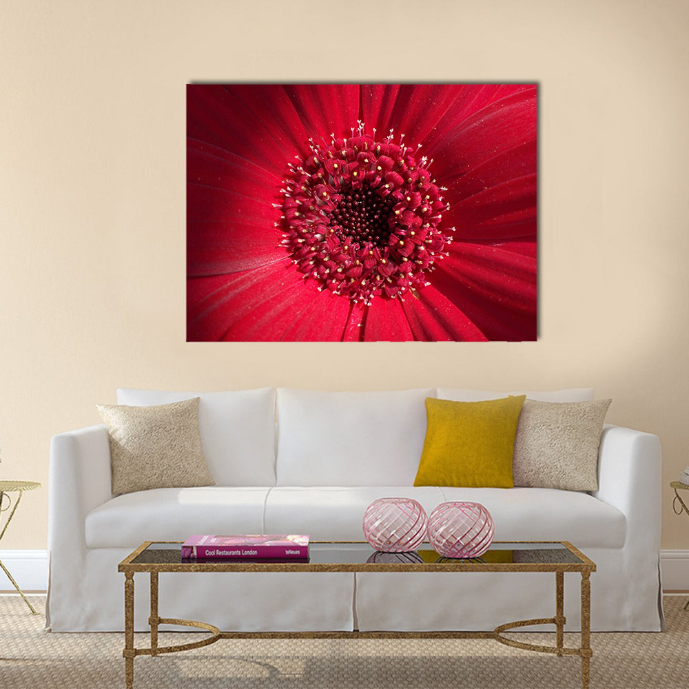 Red Gerbera Daisy Center Canvas Wall Art in red, single panel hung on a wall