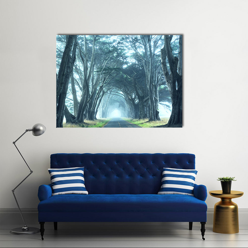 Misty Trees Alley In Foggy Weather Canvas Wall Art