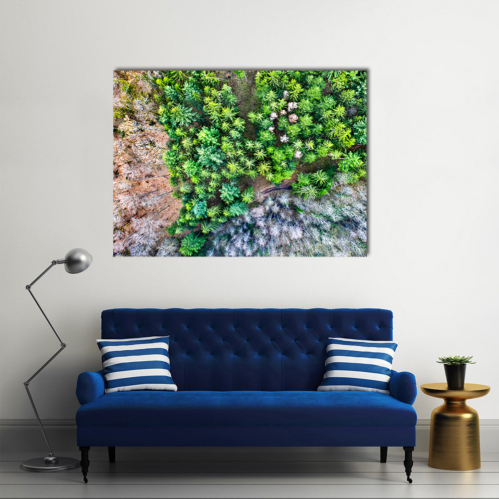 Aerial View Of Trees In The Vosges Mountains In Alsace France Canvas Wall Art
