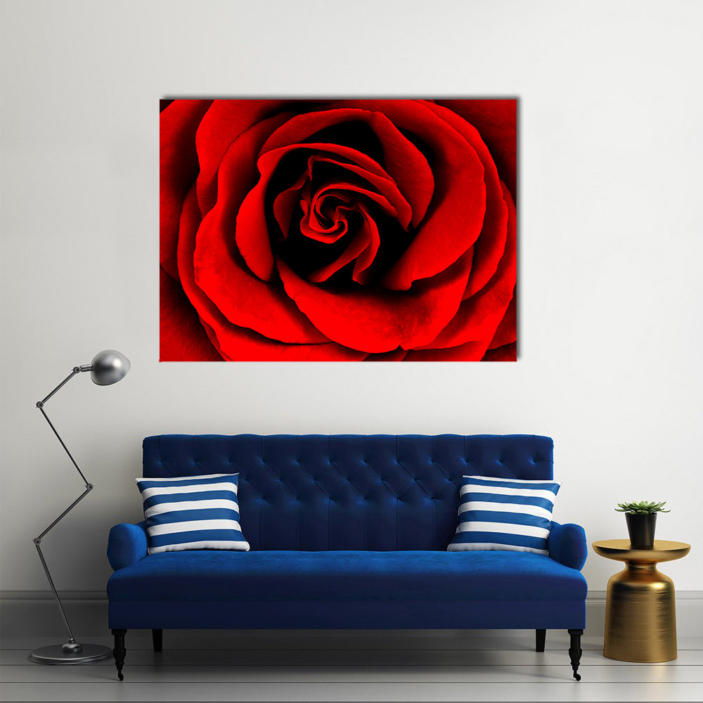 Closeup Of A Red Rose Canvas Wall Art in black and red, single panel hung on a wall