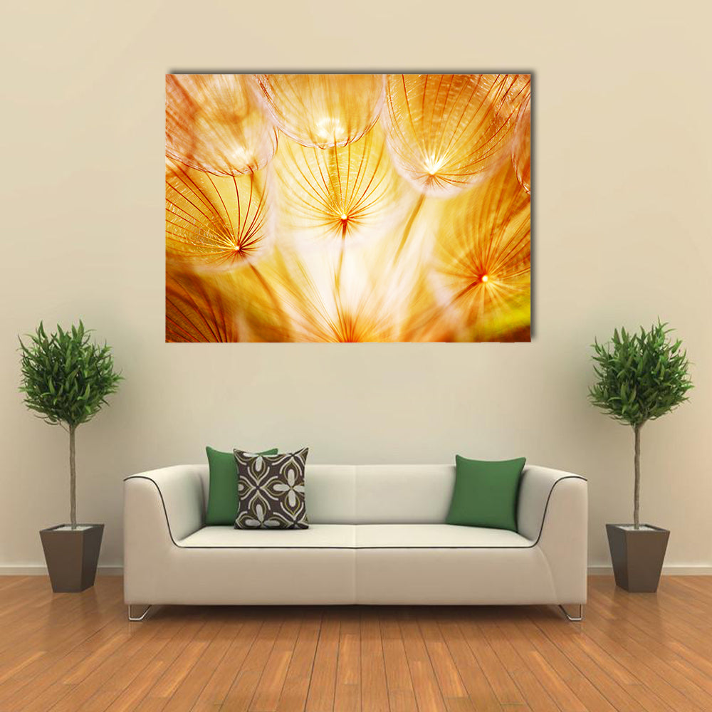 Soft Dandelion Flower Canvas Wall Art in gold, orange and yellow, single panel hung on a wall