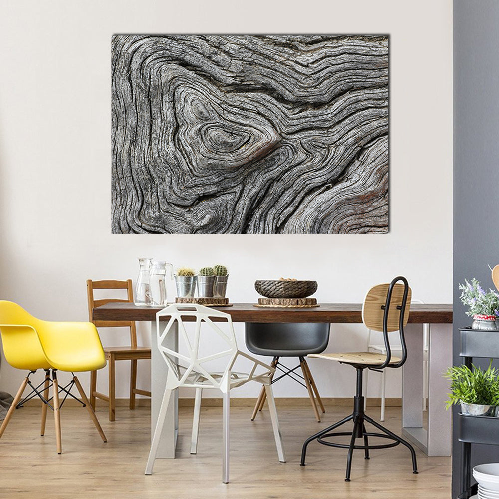 Weathered Wood Grain Macro Canvas Wall Art