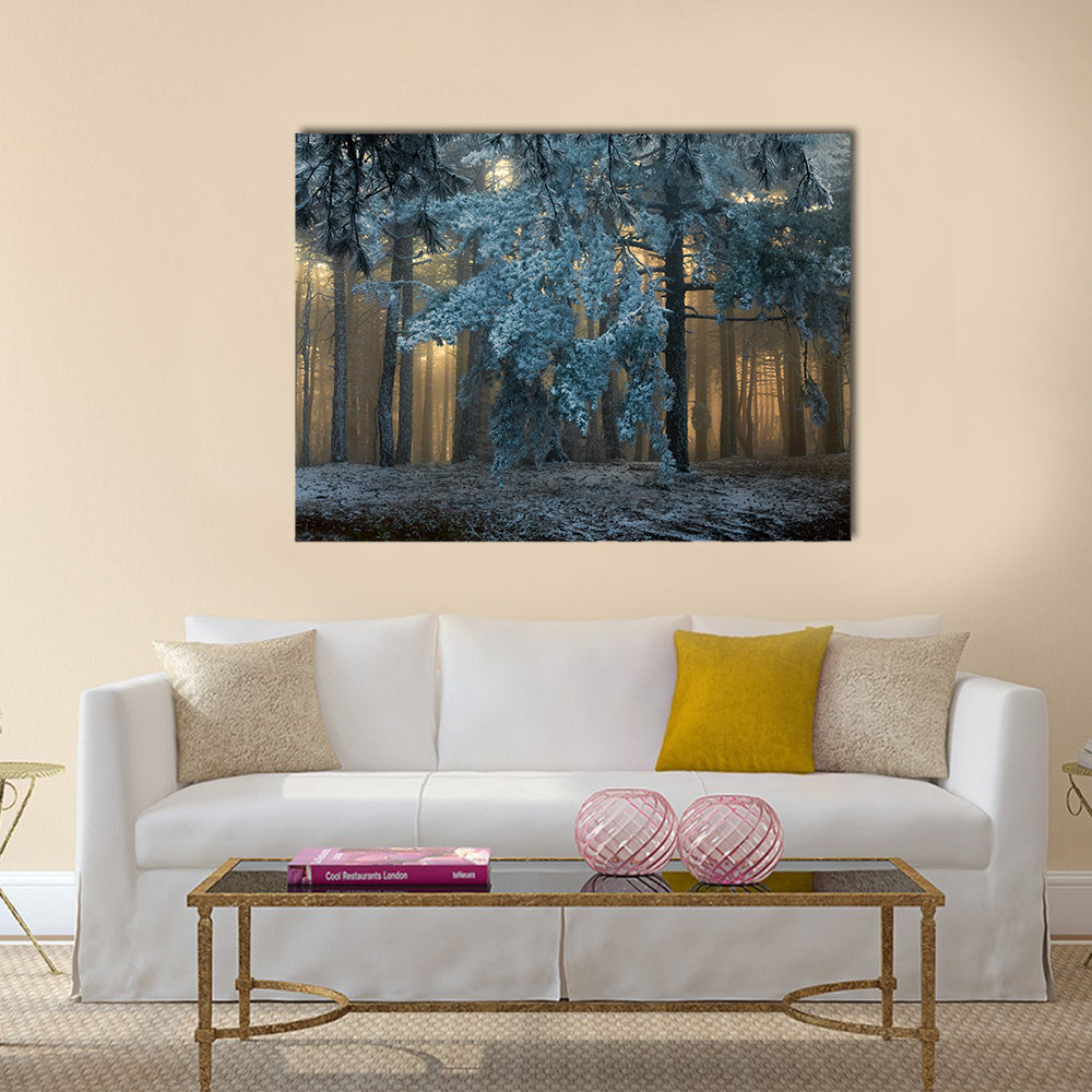 Fog In The forest In Uludag Turkey Canvas Wall Art