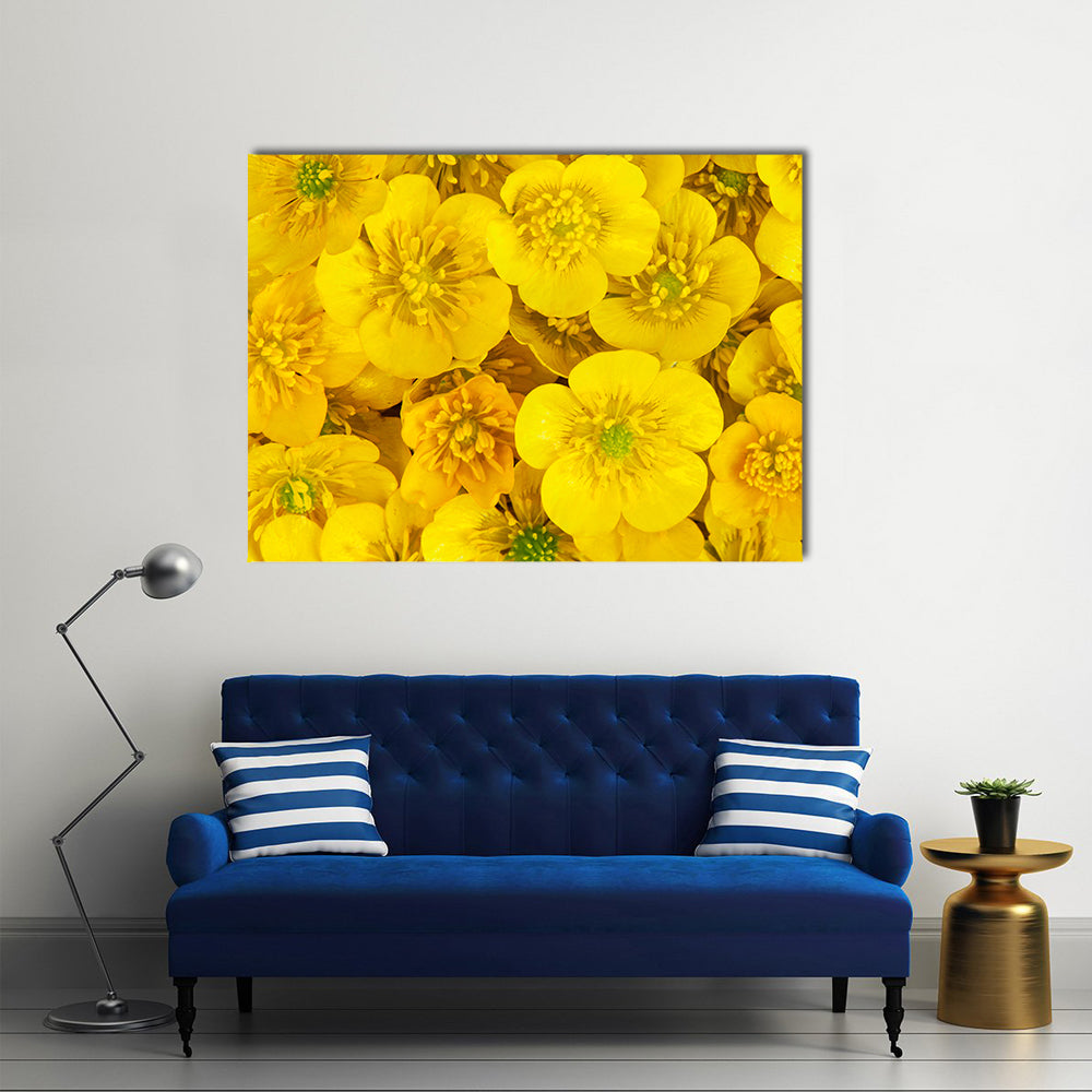 Yellow Wild Buttercups Canvas Wall Art in yellow and green, single panel hung on a wall
