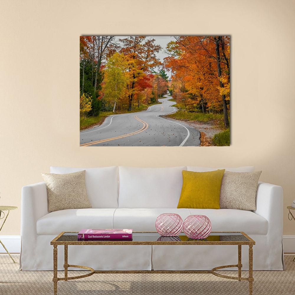 Winding Road In Wisconsin Canvas Wall Art