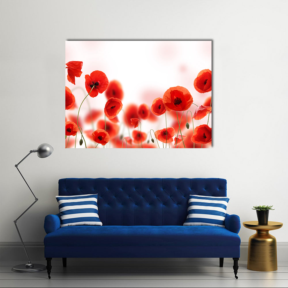 Poppy Flowers Field Canvas Wall Art in white and red, single panel hung on a wall