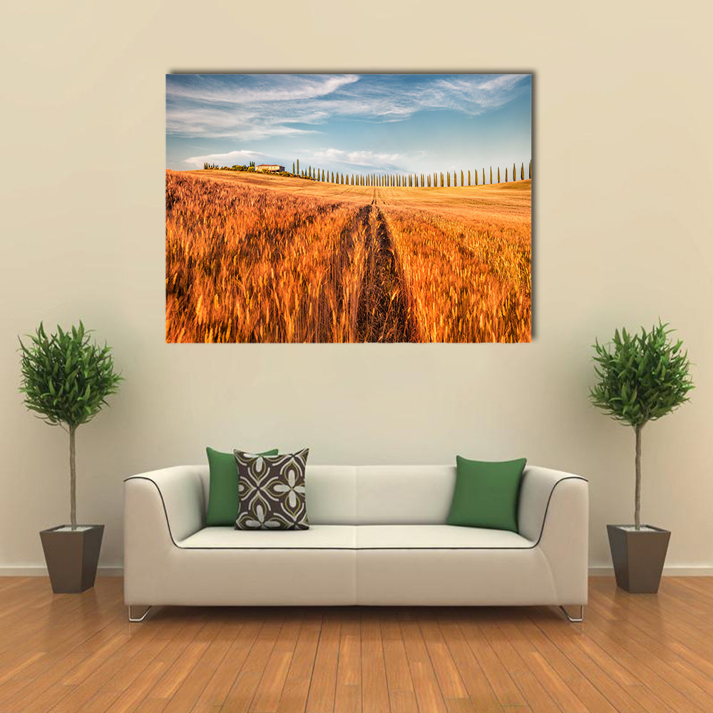 Wheat Field In Tuscany Canvas Wall Art in orange, yellow and blue, single panel hung on a wall