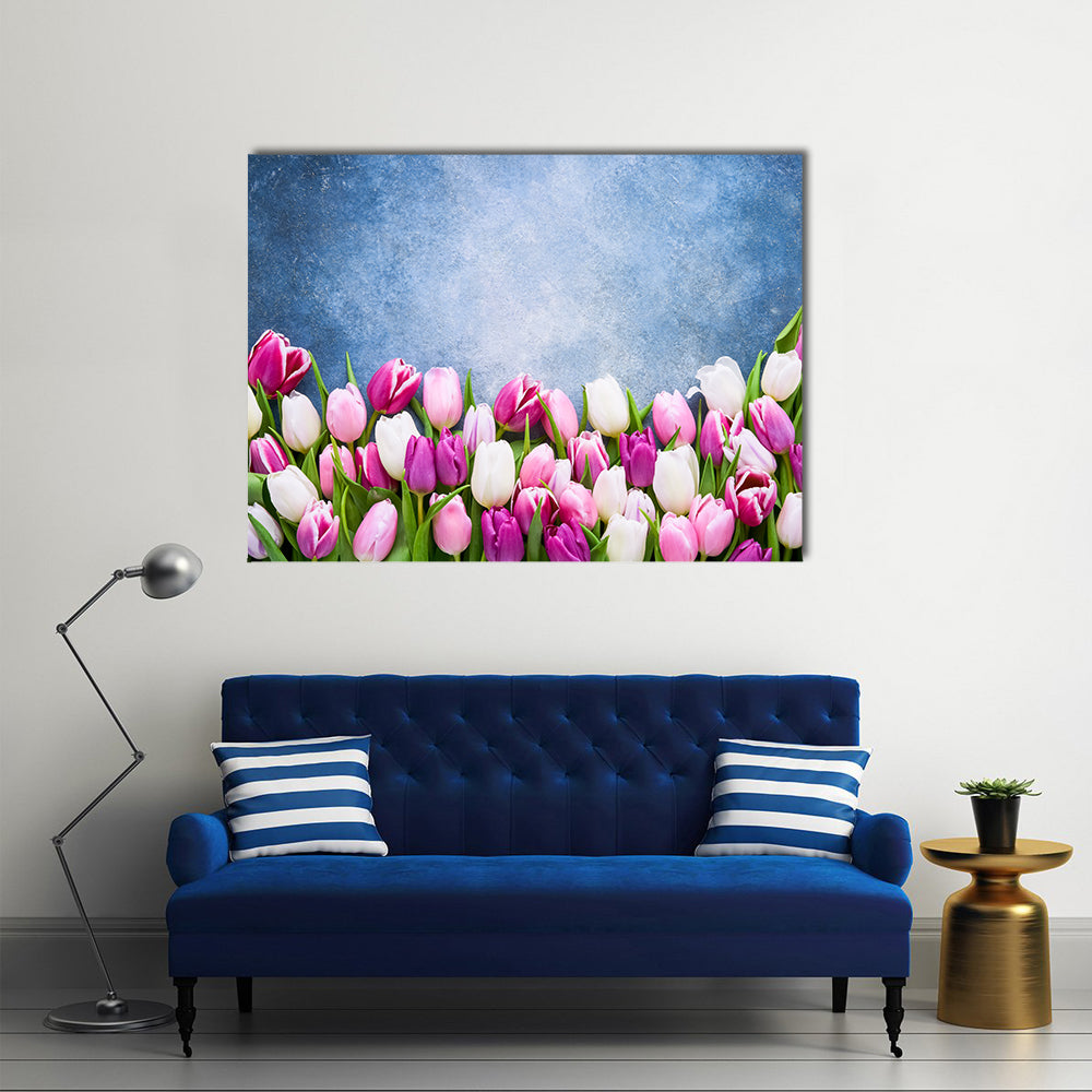 Border Of Pink And White Tulips Canvas Wall Art in white, blue and pink, single panel hung on a wall