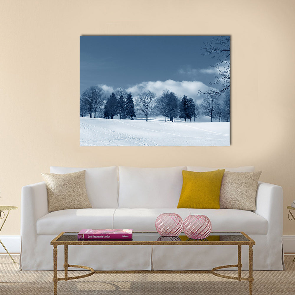 Snowy Field with Evergreens and Tracks Canvas Wall Art in white, gray and blue, single panel hung on a wall