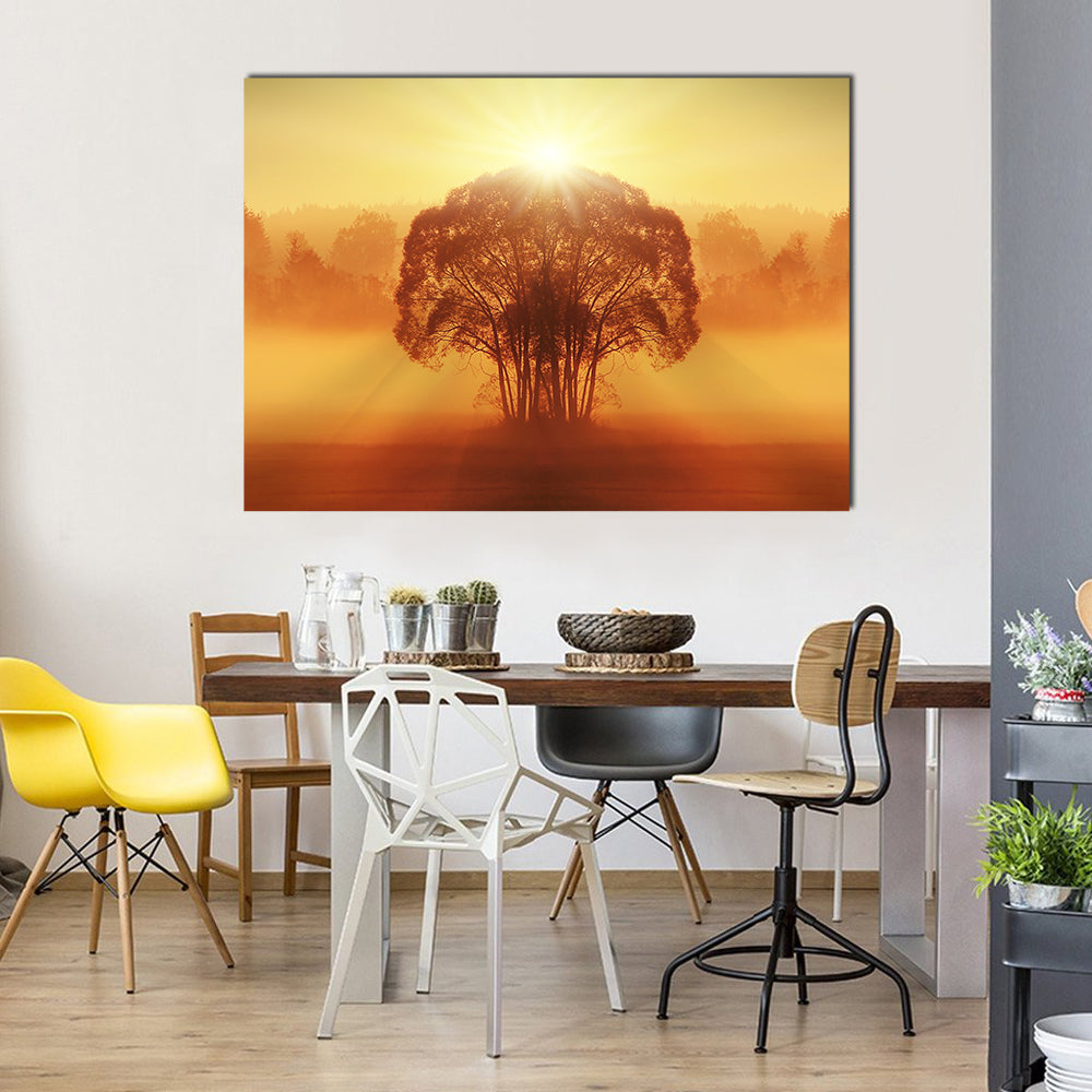 Lone Tree in Golden Morning Mist Canvas Wall Art