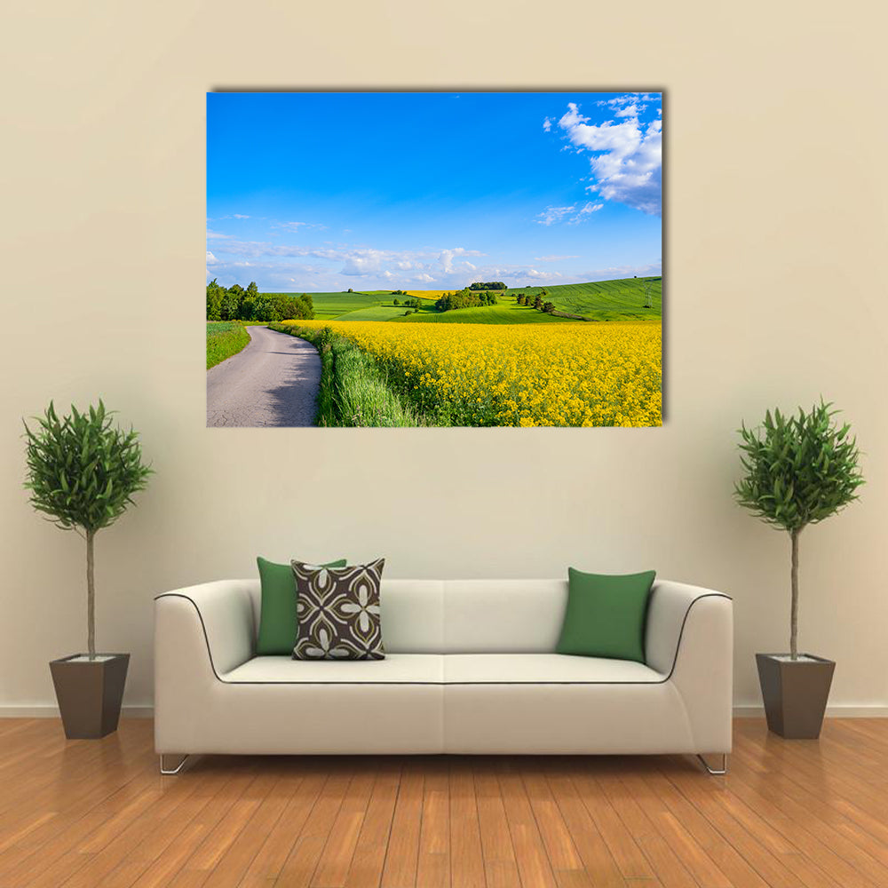 Oilseed field In Italian Countryside Canvas Wall Art in yellow, green and blue, single panel hung on a wall