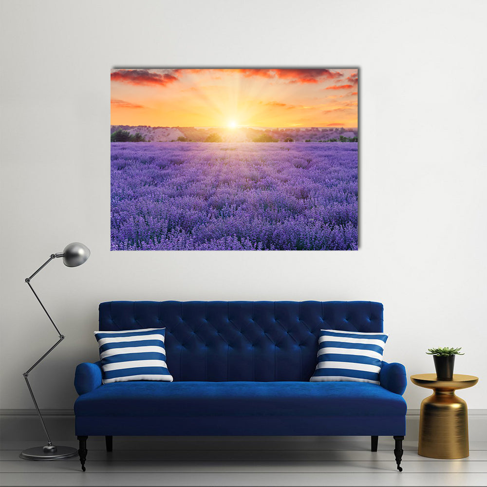 Lavender Fields At Sunset Canvas Wall Art