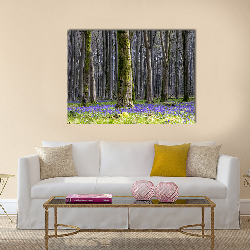 Springtime Bluebell Wood in England Canvas Wall Art in gray, green and purple, single panel hung on a wall
