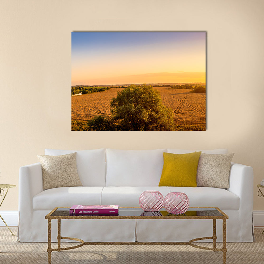 Sunset Over Golden Field with Curved Tracks Canvas Wall Art in gold, orange and yellow, single panel hung on a wall