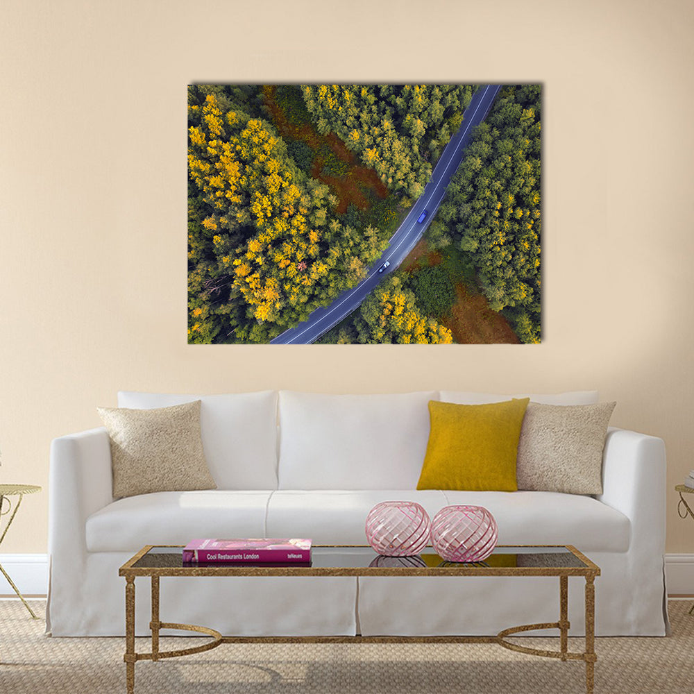 Travel Through Forest Canvas Wall Art