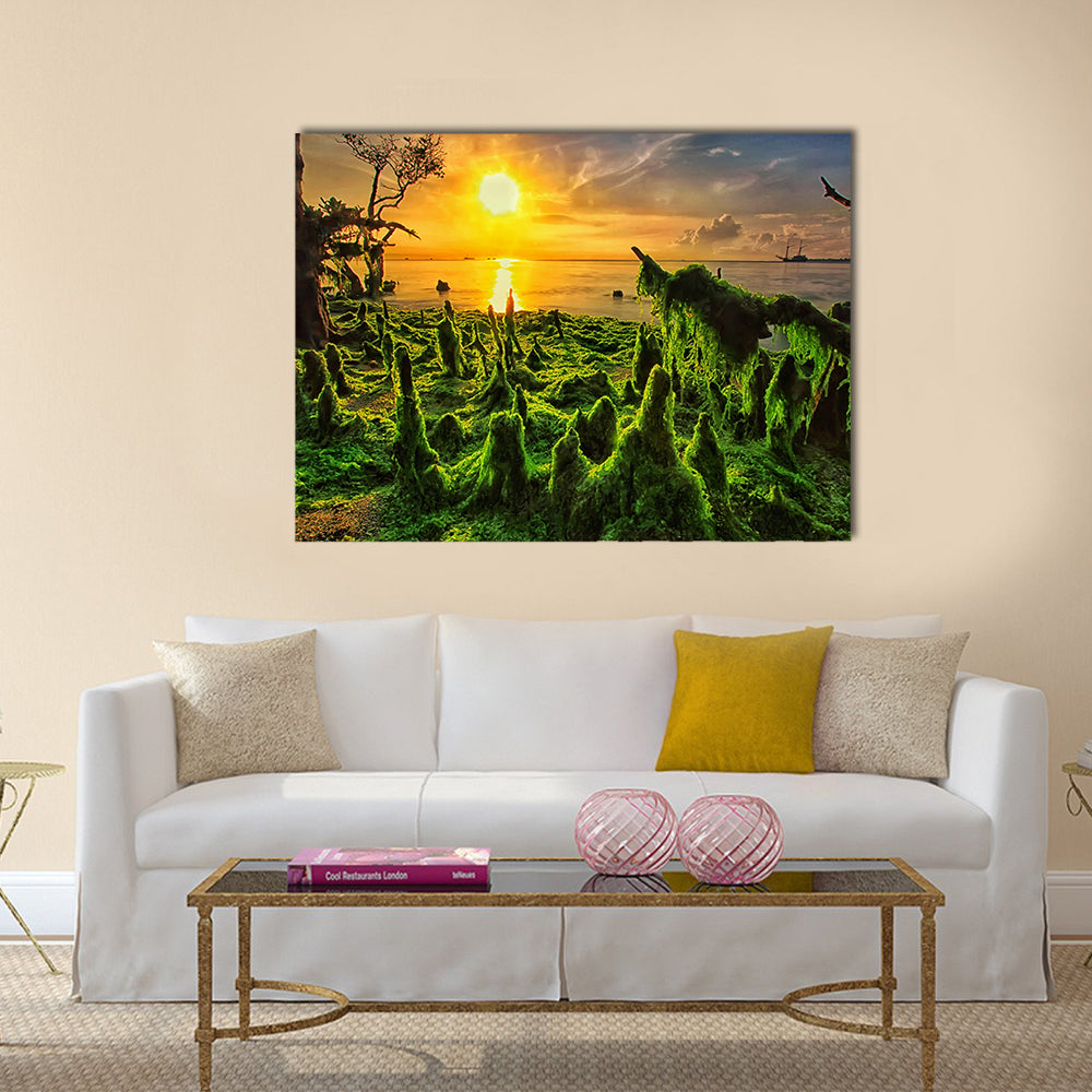 Moss-covered Mangrove Roots at Sunset Canvas Wall Art