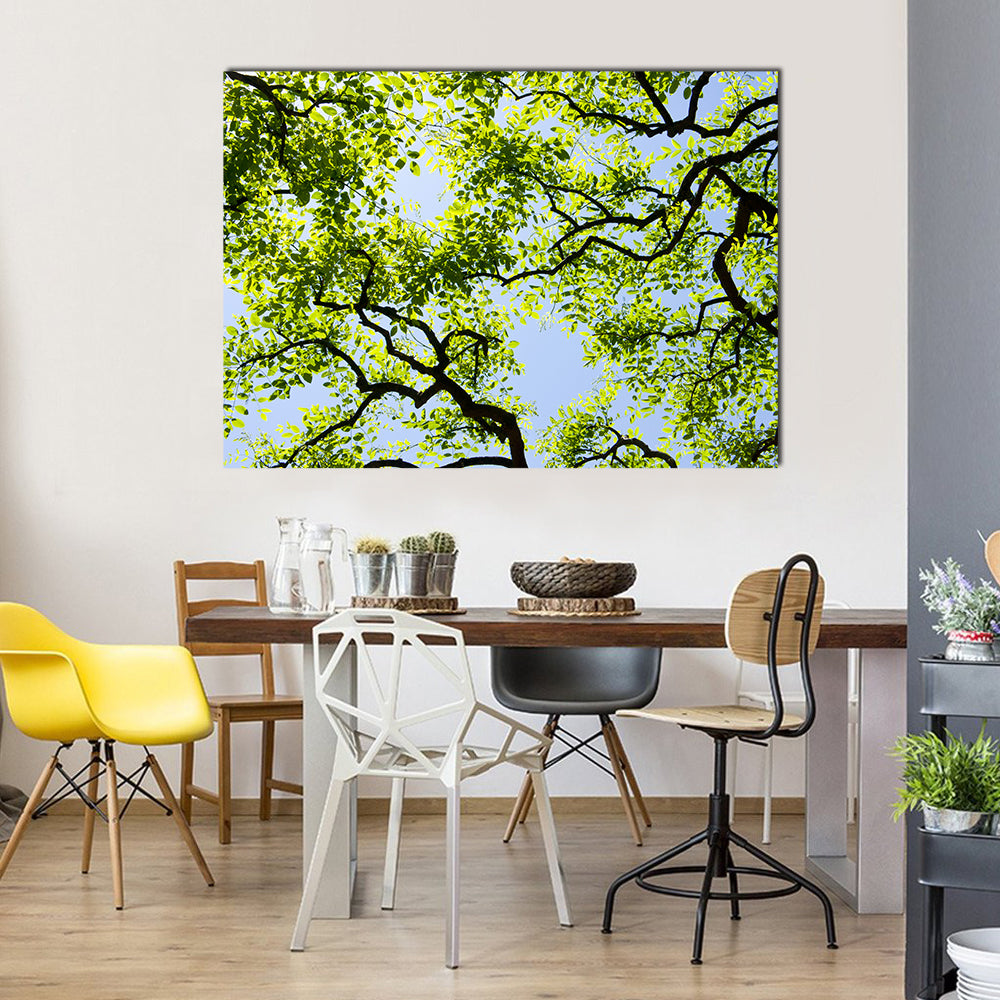 Tree Canopy with Bright Blue Sky Canvas Wall Art