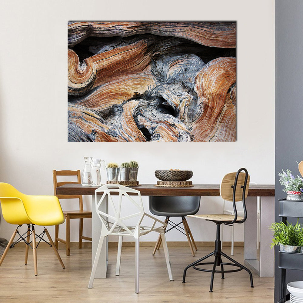 Old Juniper Wood Texture Canvas Wall Art