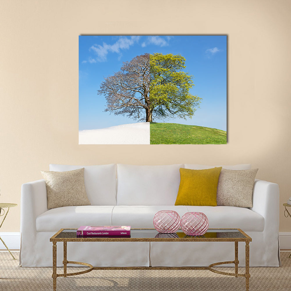 Tree Split Between Winter and Summer Canvas Wall Art