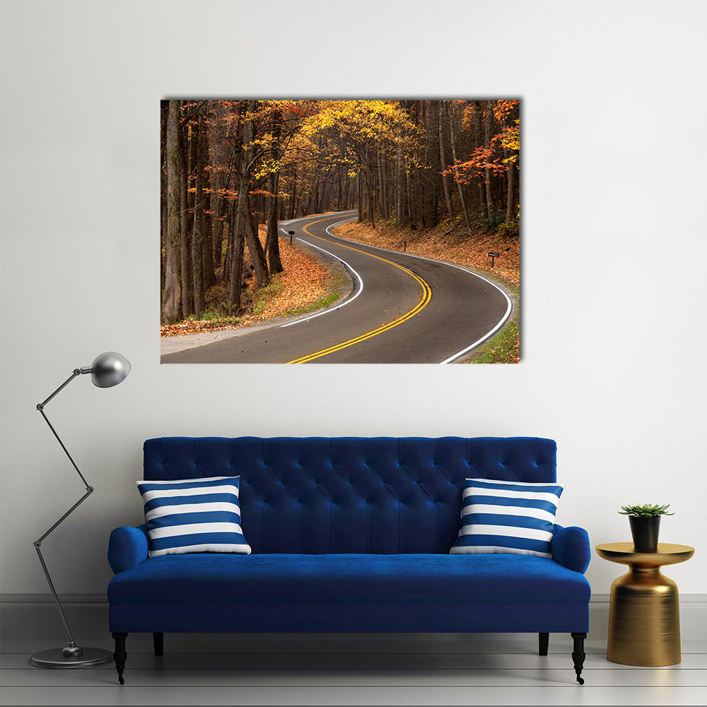 S-curve Road in Great Smokey Mountains Canvas Wall Art