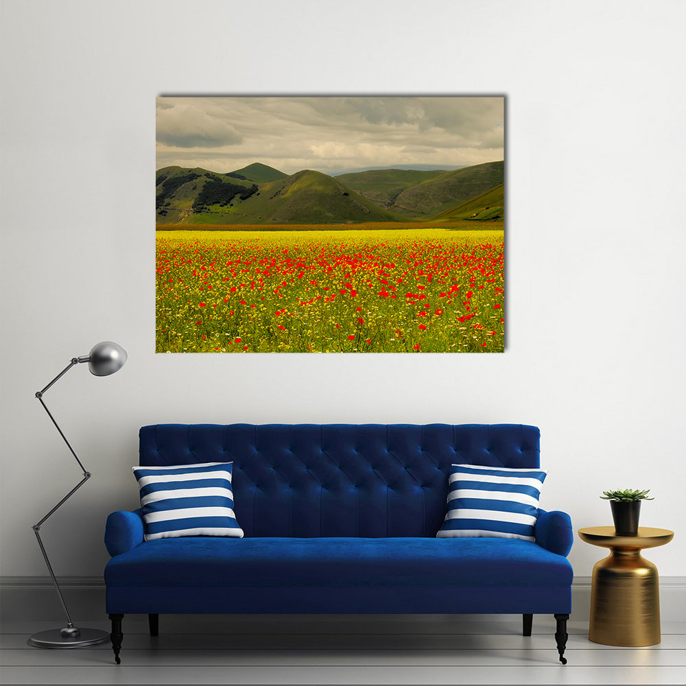 Castelluccio Di Norcia Meadow with Red Poppies Canvas Wall Art