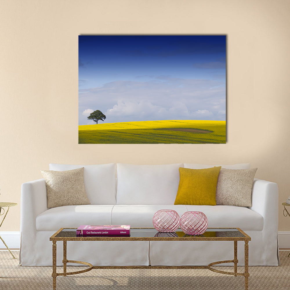 Yellow Rapeseed Field with Lone Tree Canvas Wall Art in yellow, green and blue, single panel hung on a wall