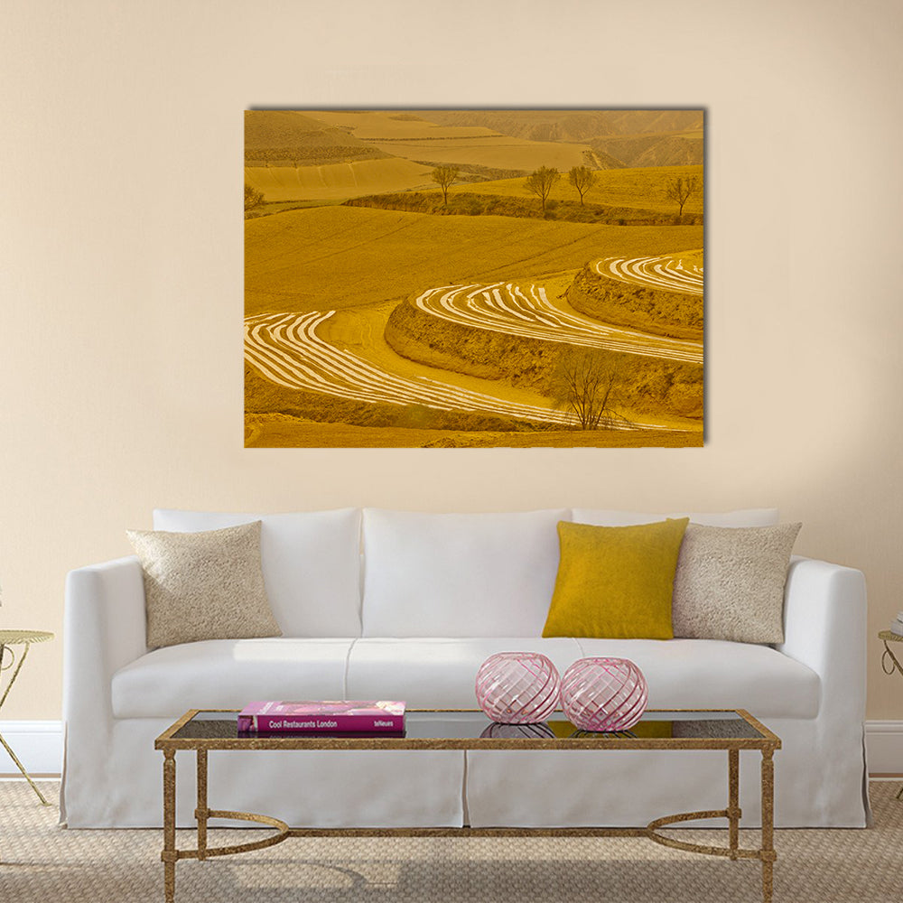 Loess Plateau Terraced Fields Canvas Wall Art