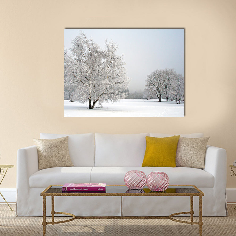 Frosted Trees in Snowy Field Canvas Wall Art