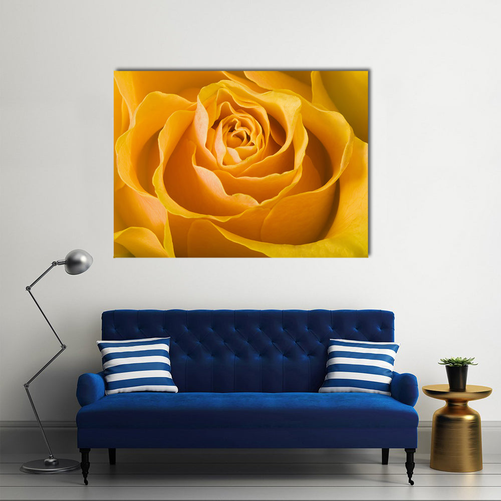 Close Up Of Rose Canvas Wall Art in orange and yellow, single panel hung on a wall