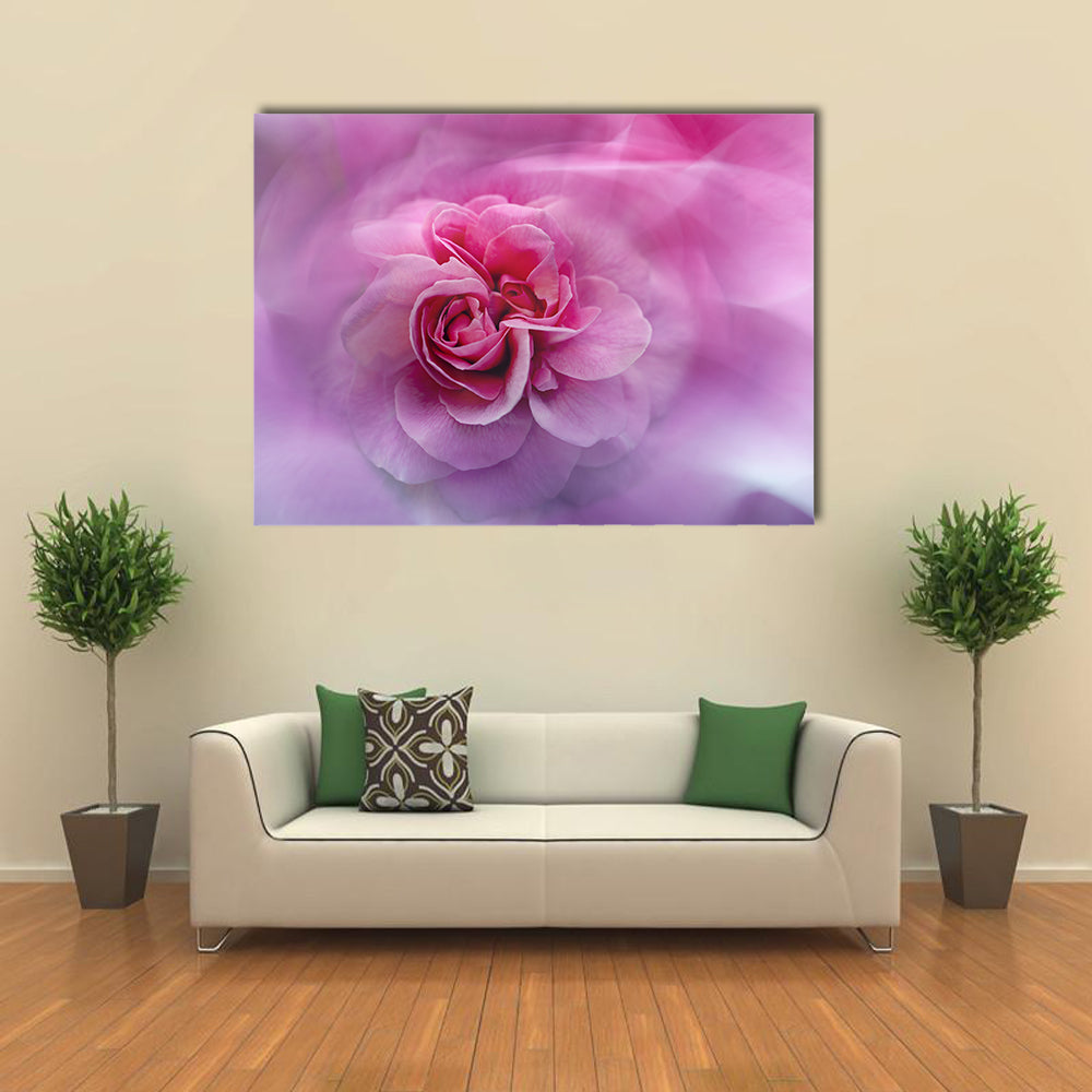 Scenic Rose Abstract Canvas Wall Art in white, purple and pink, single panel hung on a wall