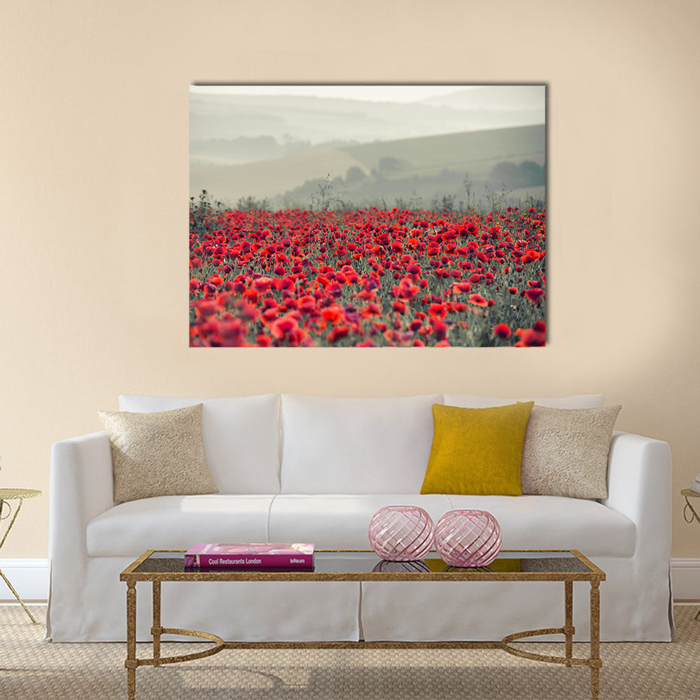 Field of Red Poppies Canvas Wall Art