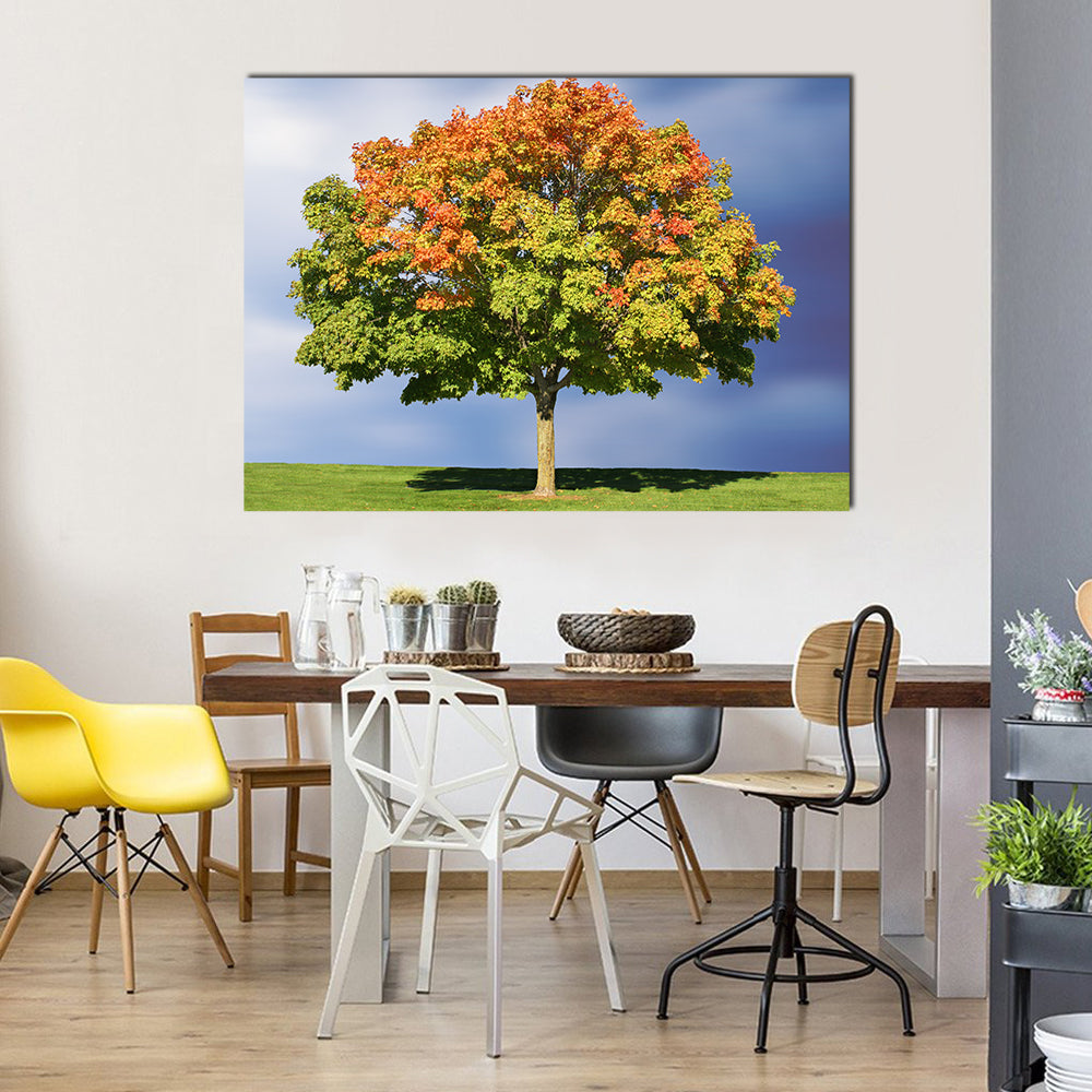 Maple Tree In Autumn Canvas Wall Art