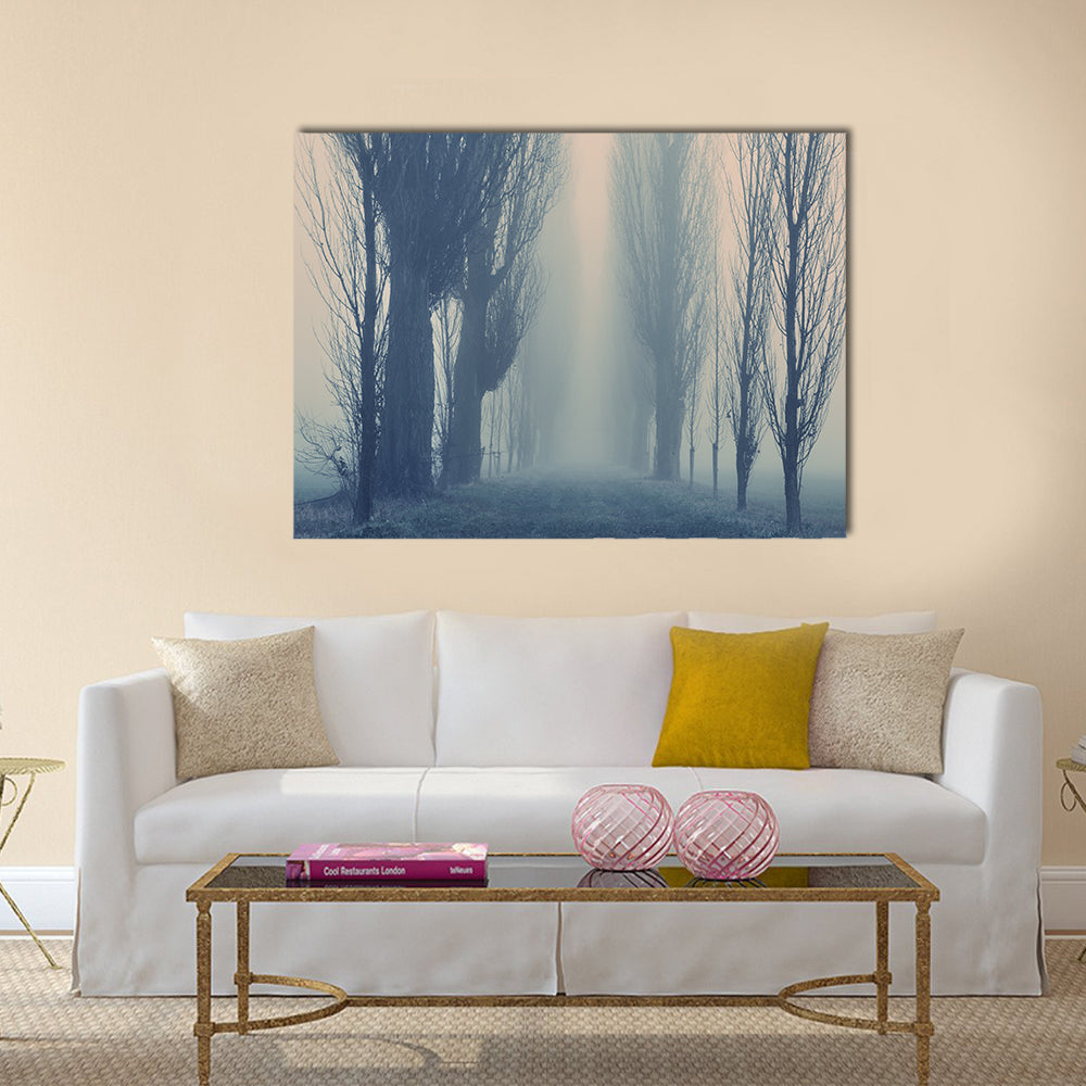 Autumn Fog in the Old Forest Canvas Wall Art