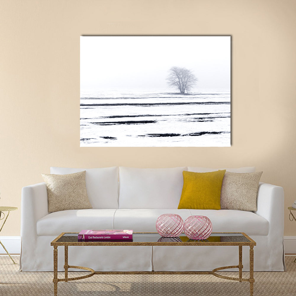 Solitary Tree in Snowy Field Canvas Wall Art in black, white and gray, single panel hung on a wall