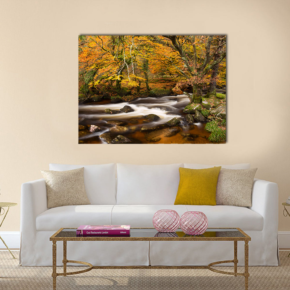 Autumn River in Dartmoor, Devon Canvas Wall Art in brown, orange and yellow, single panel hung on a wall