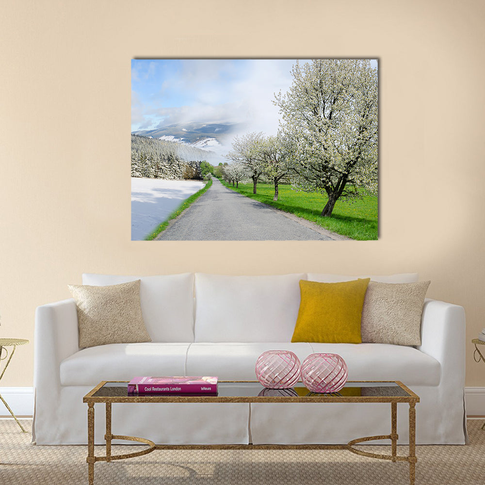 Road Between Winter and Spring Canvas Wall Art