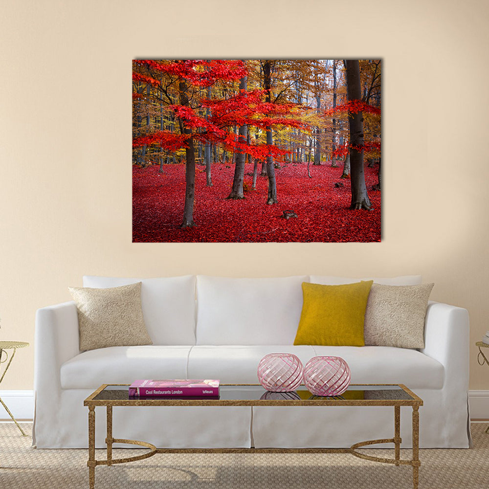Red Trees In The Forest During Fall Canvas Wall Art