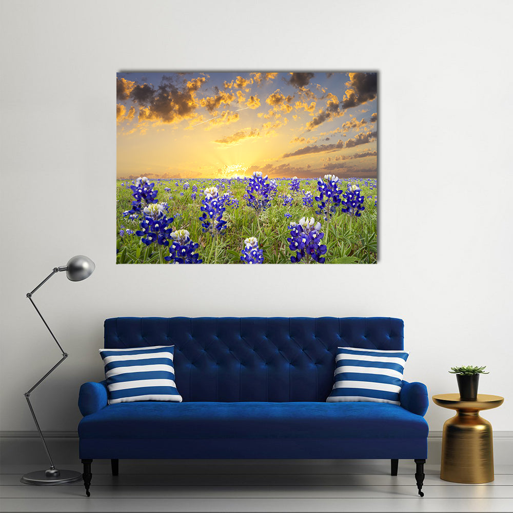 Bluebonnets In The Texas Hill County Canvas Wall Art