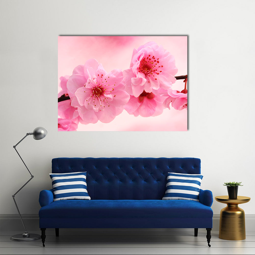Pink Flowers In Spring Canvas Wall Art in white and pink, single panel hung on a wall
