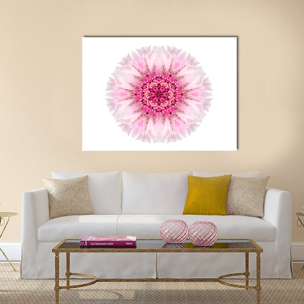 Pink Cornflower Mandala Canvas Wall Art in white and pink, single panel hung on a wall