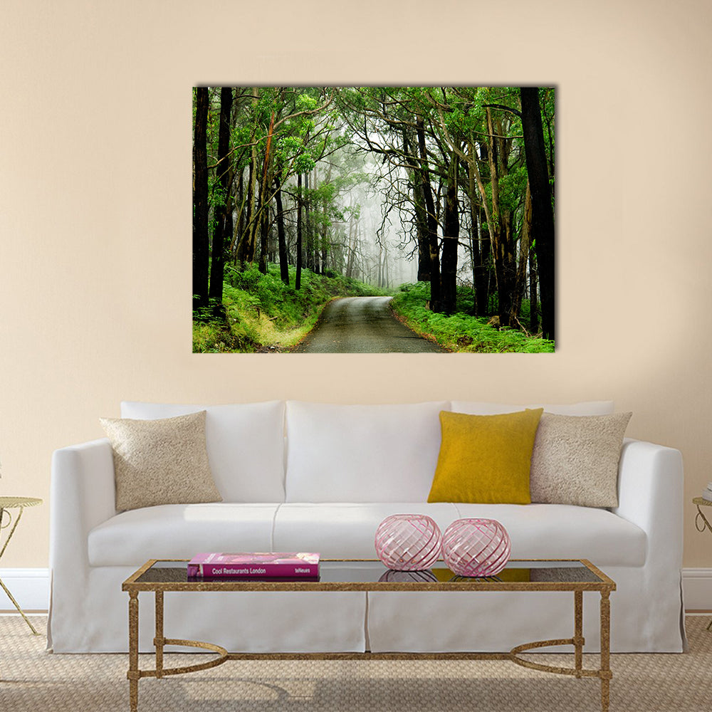 Forest Road With Fog Canvas Wall Art