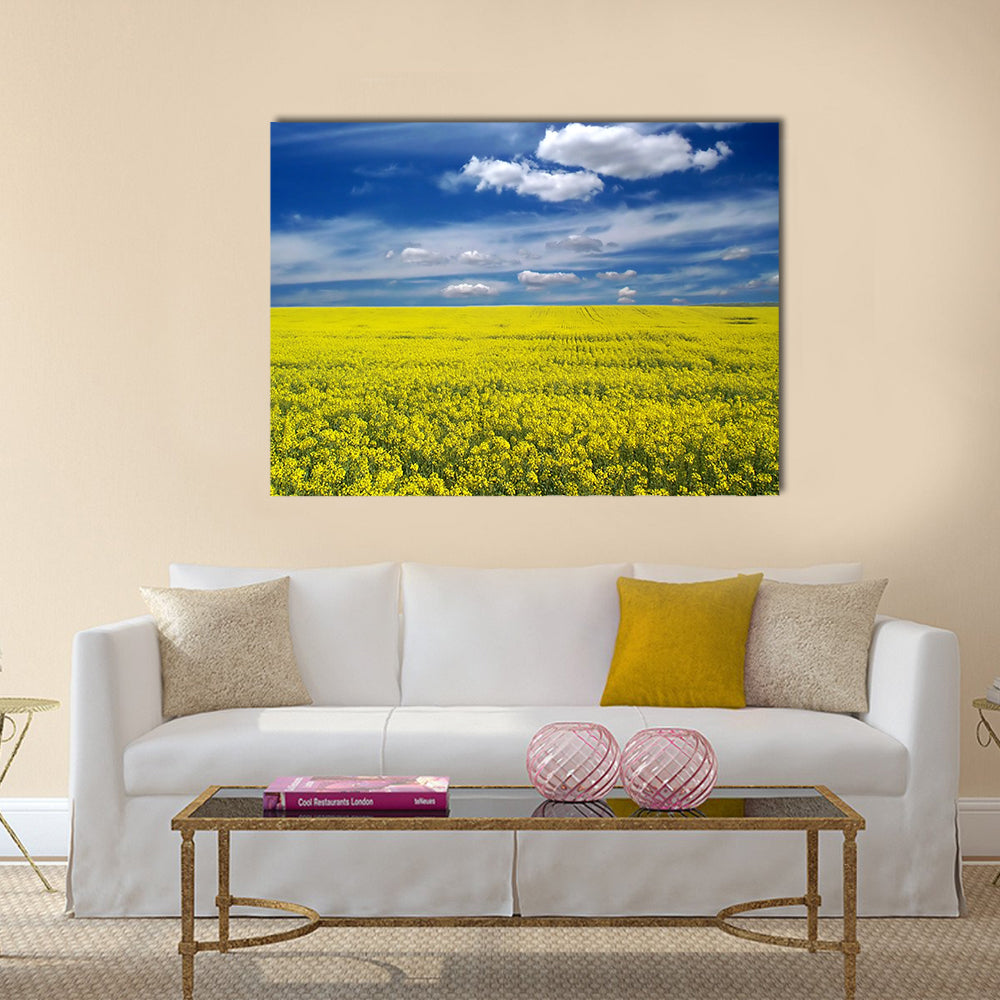 Golden Canola Field Canvas Wall Art