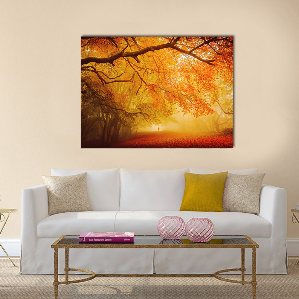 Seasonal Forest Fall Walk Canvas Wall Art