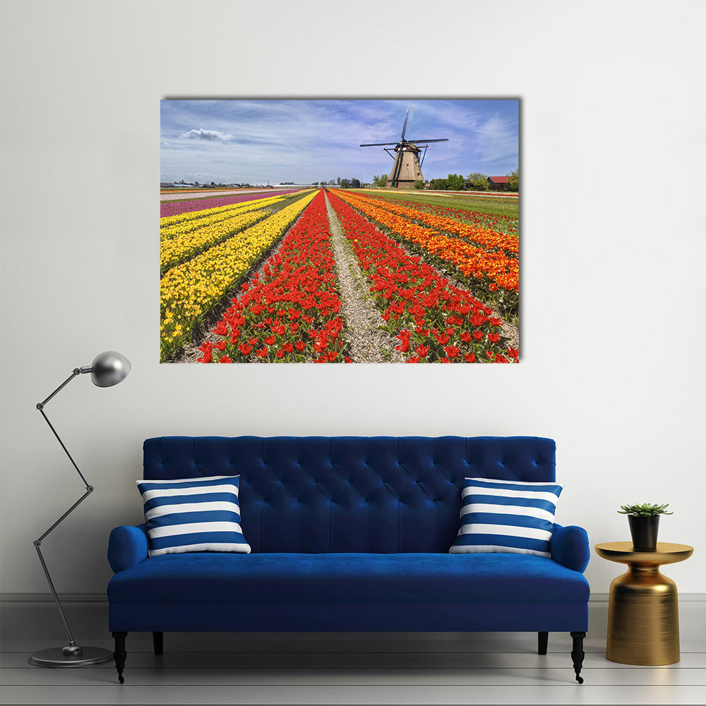 Colorful Dutch Tulip Fields with Windmill Canvas Wall Art